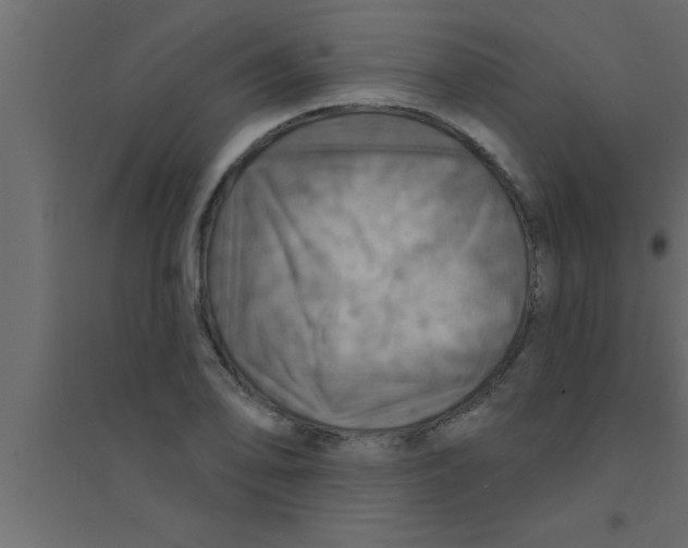 X0000094211078200711241655
