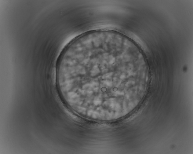 X0000094211079200711241655