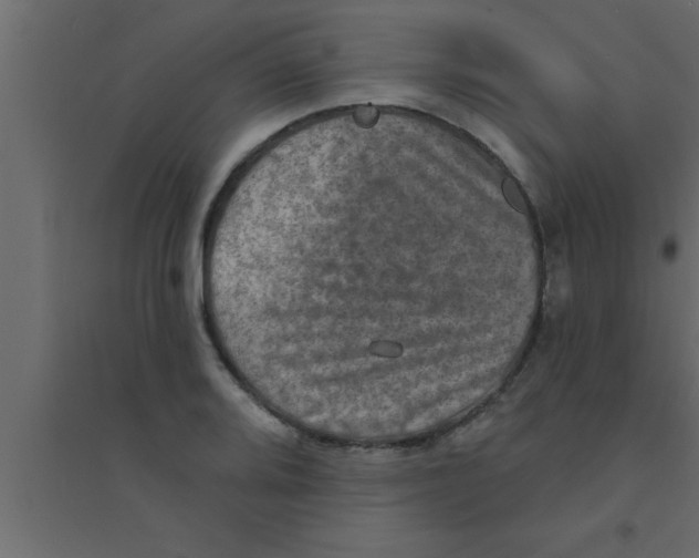 X0000094211080200711241655