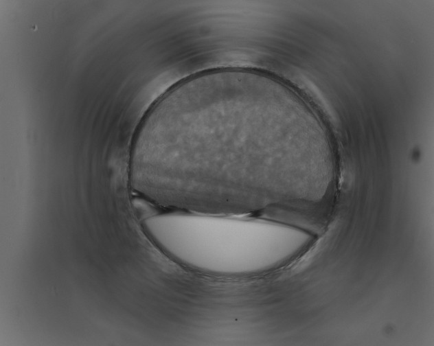 X0000094211081200711241655