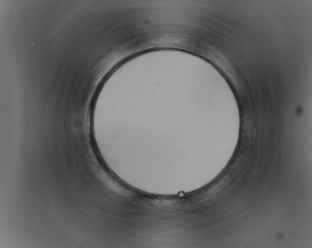 X0000094211082200711241655