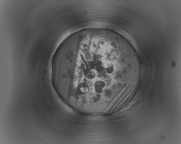 X0000094211083200711241655