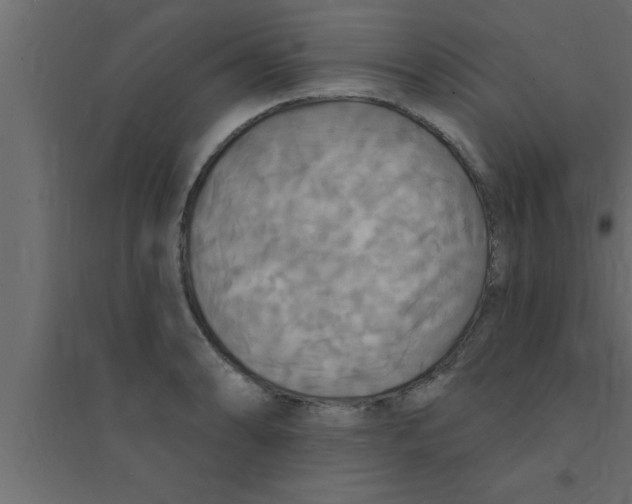 X0000094211086200711241654