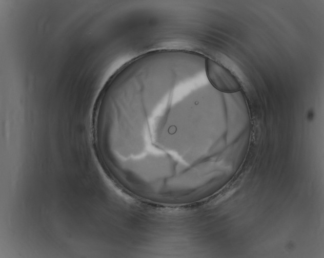 X0000094211087200711241654