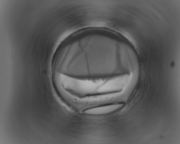X0000094211088200711241654
