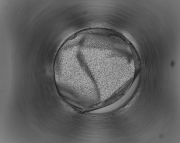 X0000094211089200711241654