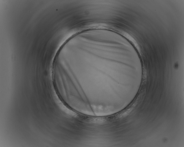 X0000094211090200711241654