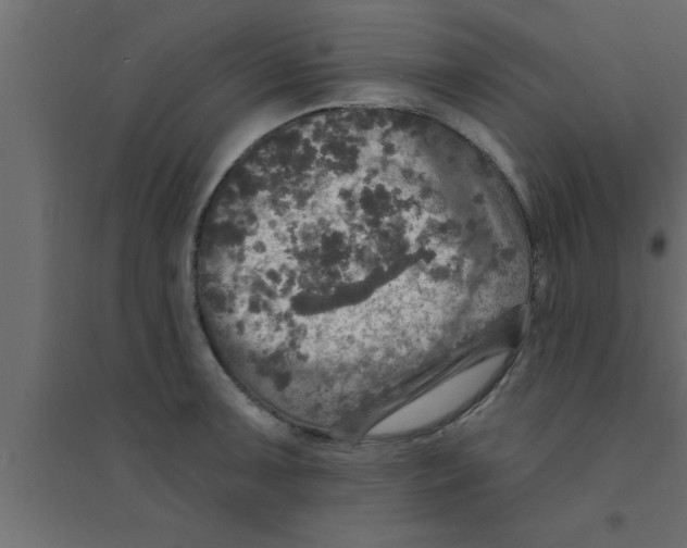 X0000094211091200711241654