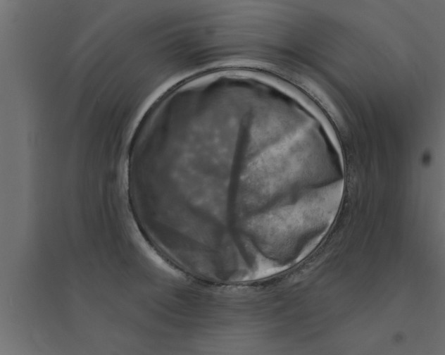 X0000094211092200711241654