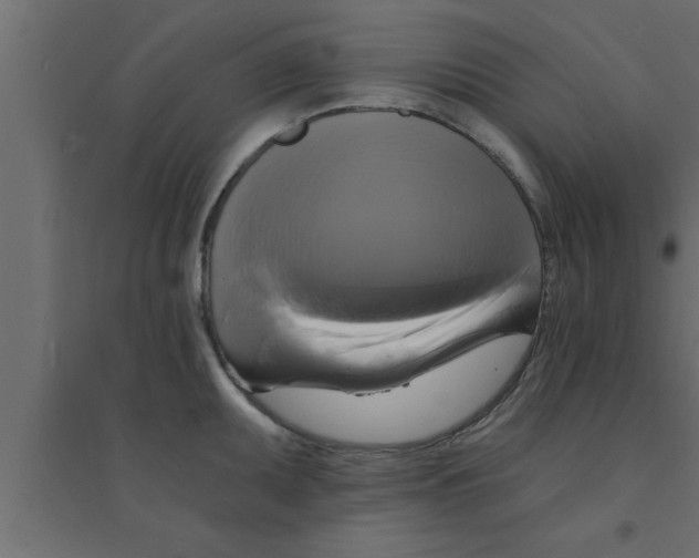 X0000094211095200711241654