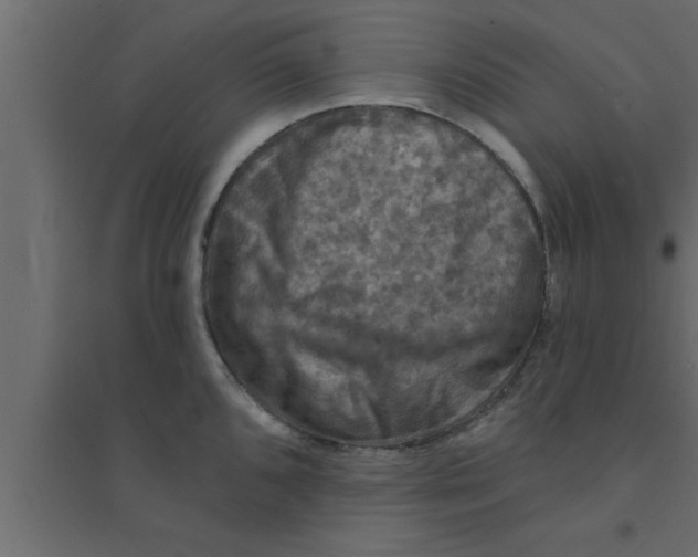 X0000094211096200711241654