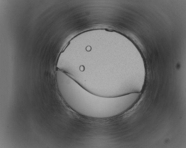 X0000094211097200711241654