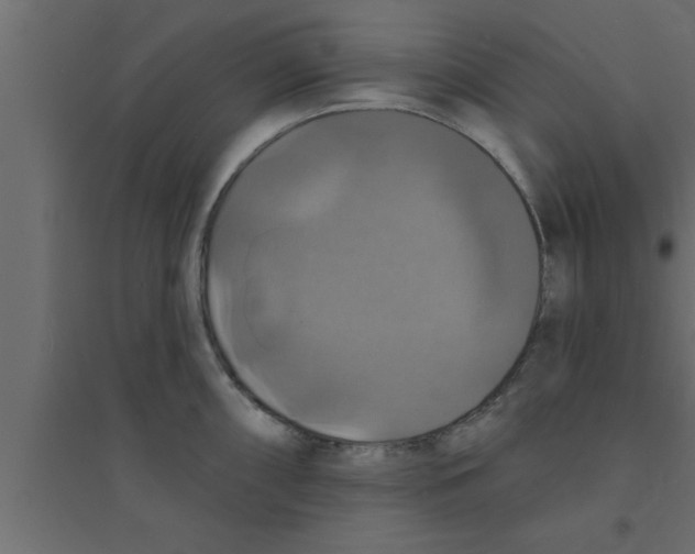 X0000094211098200711241654