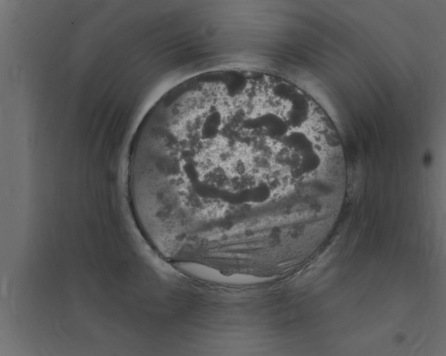 X0000094211099200711241654