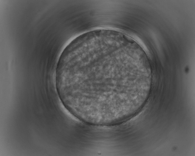 X0000094211100200711241654