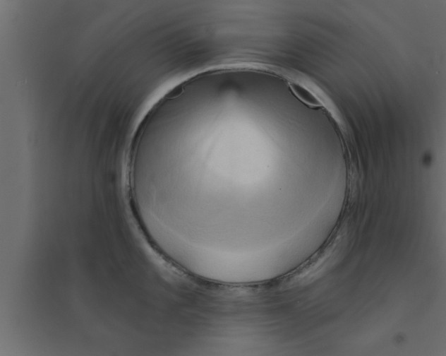 X0000094211101200711241654