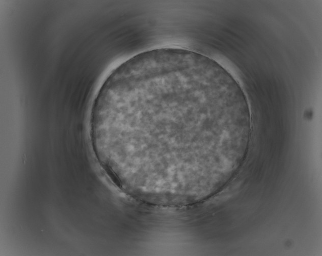 X0000094211104200711241654