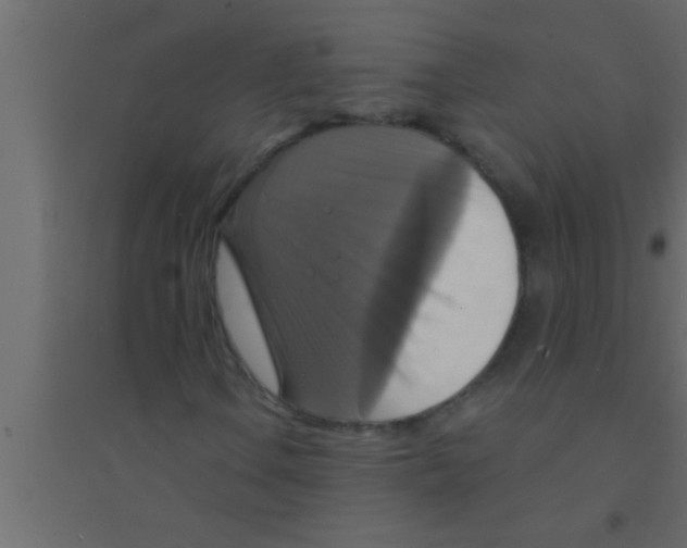 X0000094211106200711241654