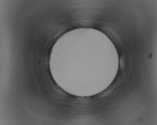 X0000094211107200711241654
