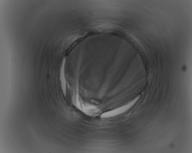 X0000094211108200711241654