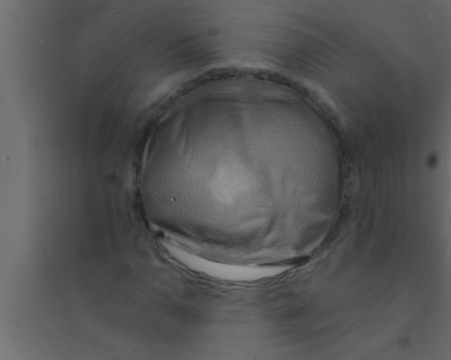 X0000094211110200711241654