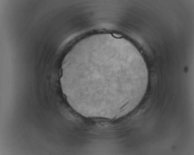X0000094211112200711241654