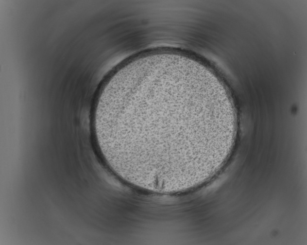 X0000094211113200711241654