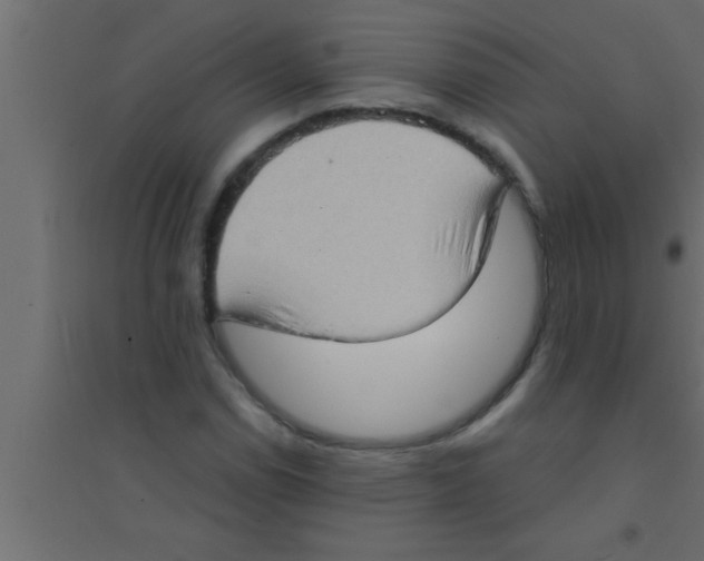 X0000094211114200711241654