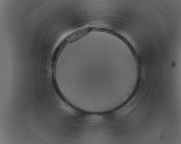 X0000094211115200711241654