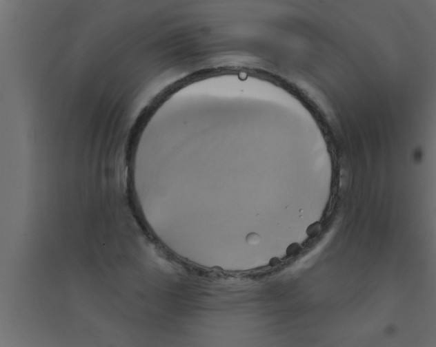 X0000094211117200711241654