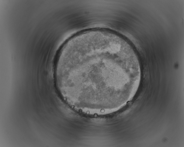 X0000094211118200711241654
