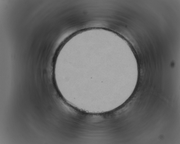 X0000094211119200711241654