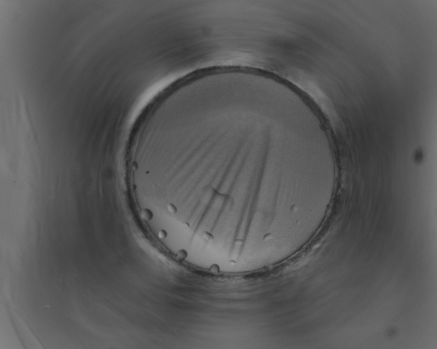 X0000094211120200711241654