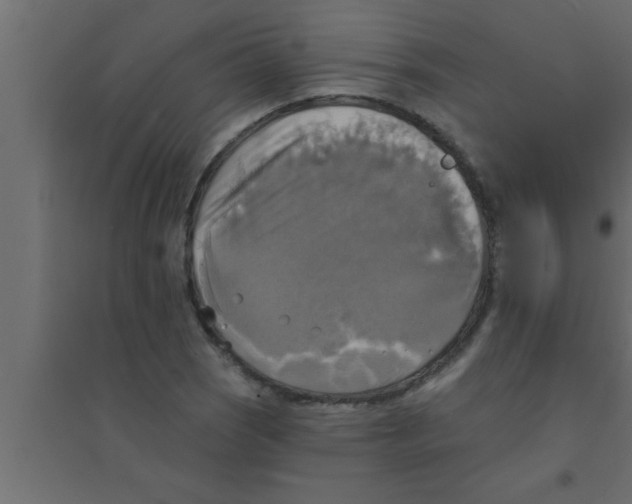X0000094211121200711241654