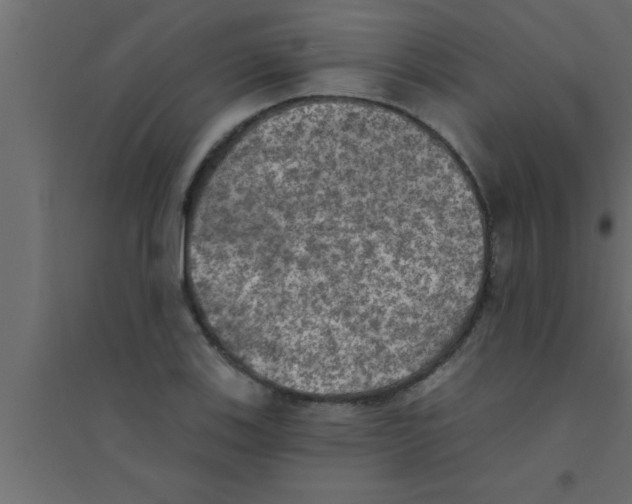 X0000094211123200711241654