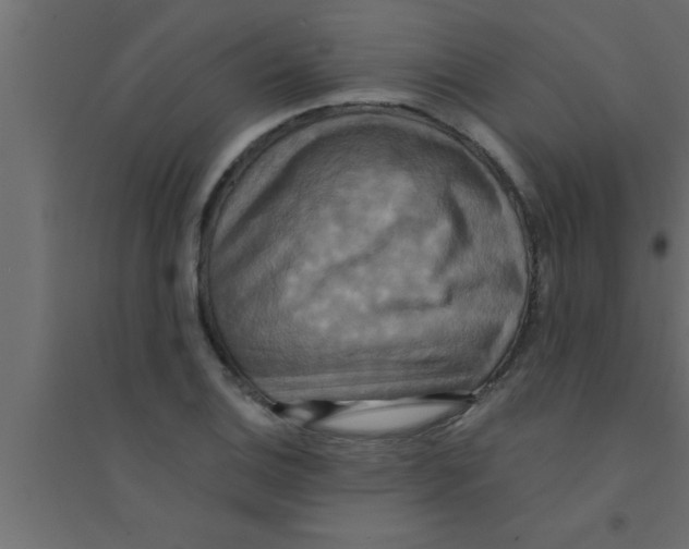 X0000094211124200711241654