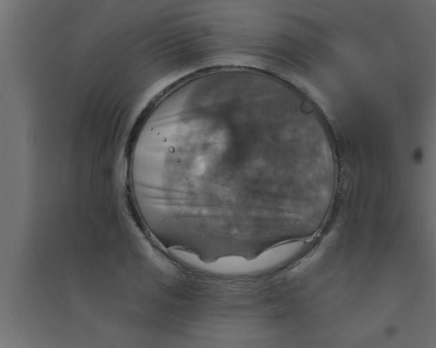 X0000094211125200711241654