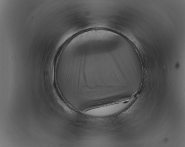 X0000094211127200711241654