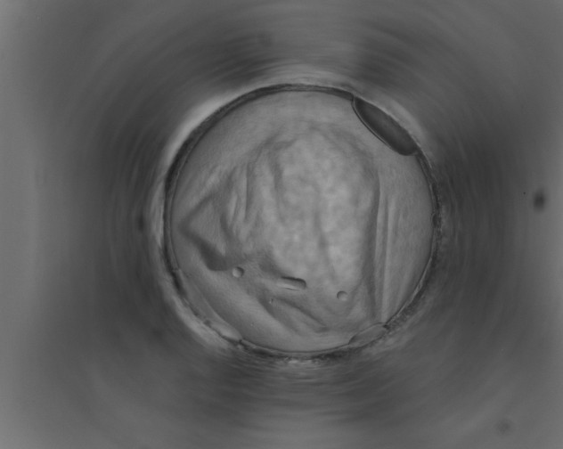 X0000094211128200711241654
