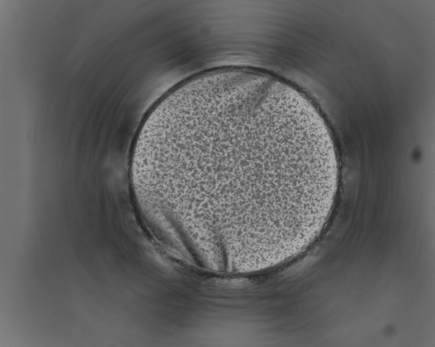 X0000094211129200711241654