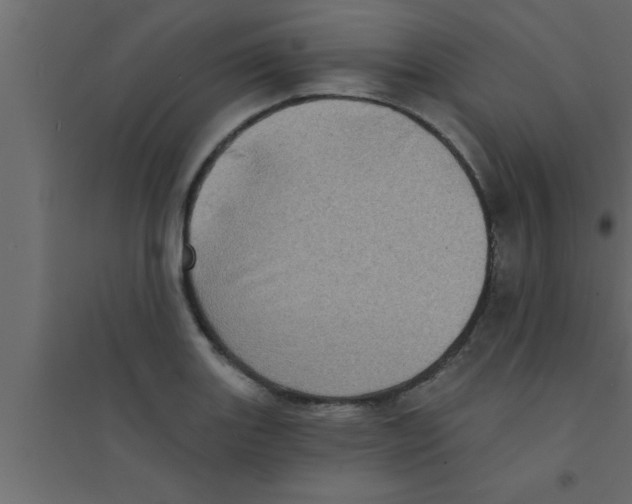 X0000094211131200711241654