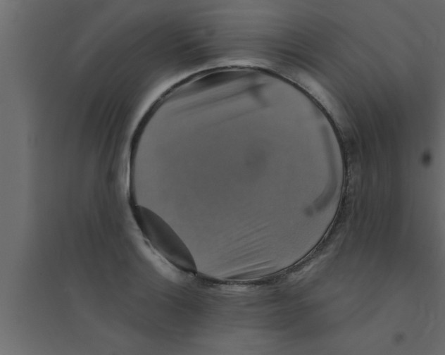 X0000094211132200711241654