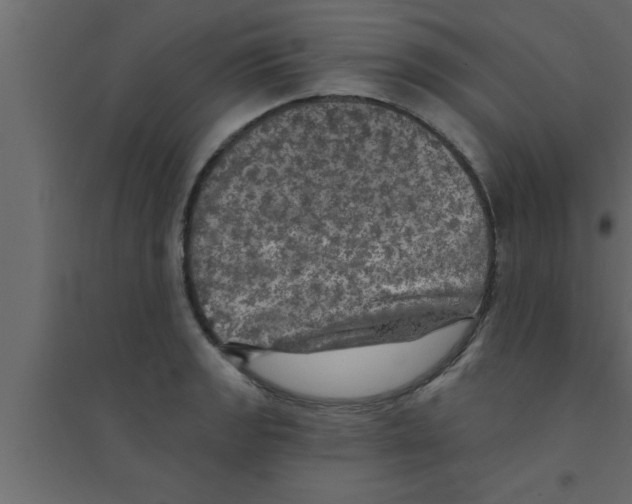 X0000094211133200711241654
