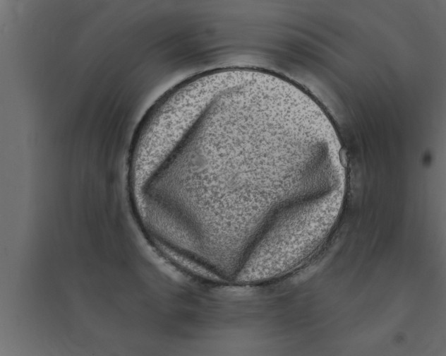 X0000094211134200711241654