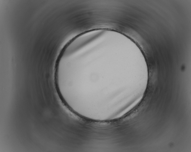 X0000094211135200711241654