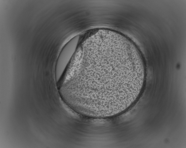 X0000094211137200711241654