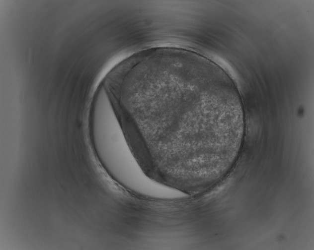 X0000094211138200711241654