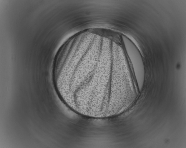 X0000094211139200711241654