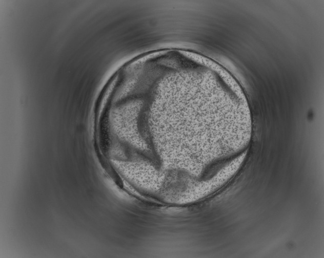 X0000094211140200711241654