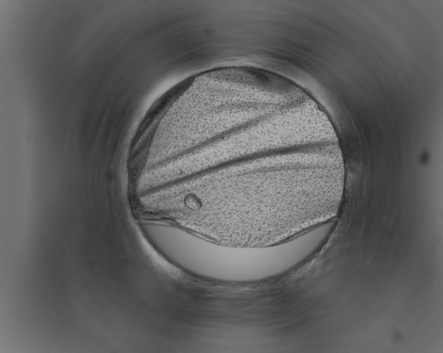 X0000094211143200711241654